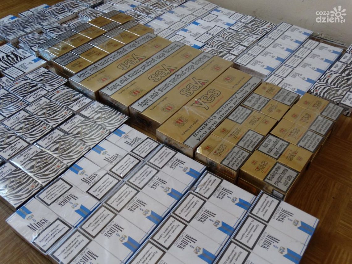 13 tys. papierosów zabezpieczono 13 tys. papierosów zabezpieczono