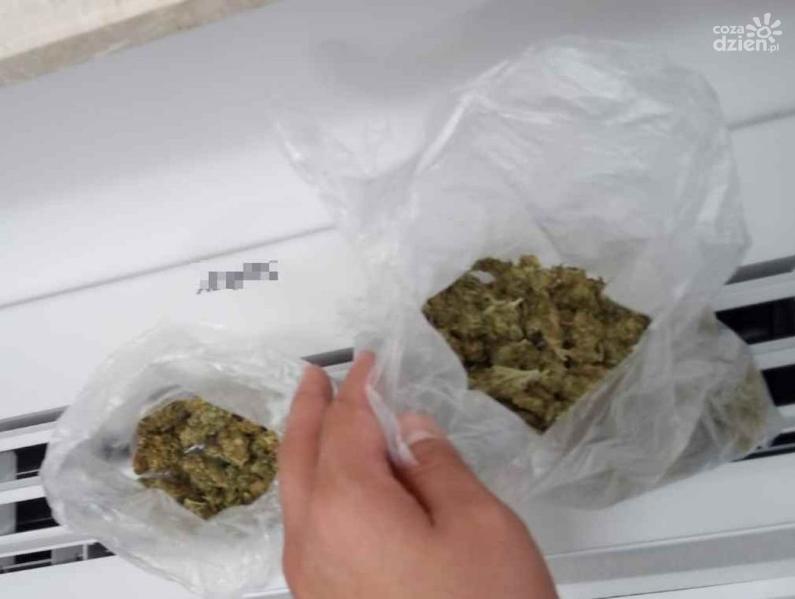 15-latek zatrzymany z marihuaną. Nastolatek stanie przed sądem