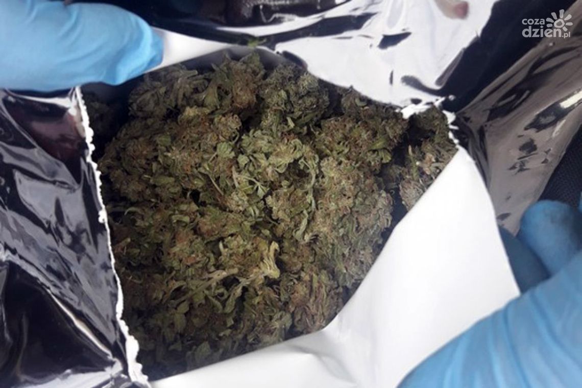 19-latek z marihuaną i amfetaminą. Grozi mu do 3 lat więzienia