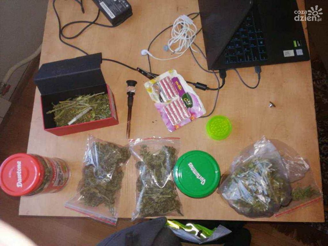 20-latek uprawiał marihuanę 