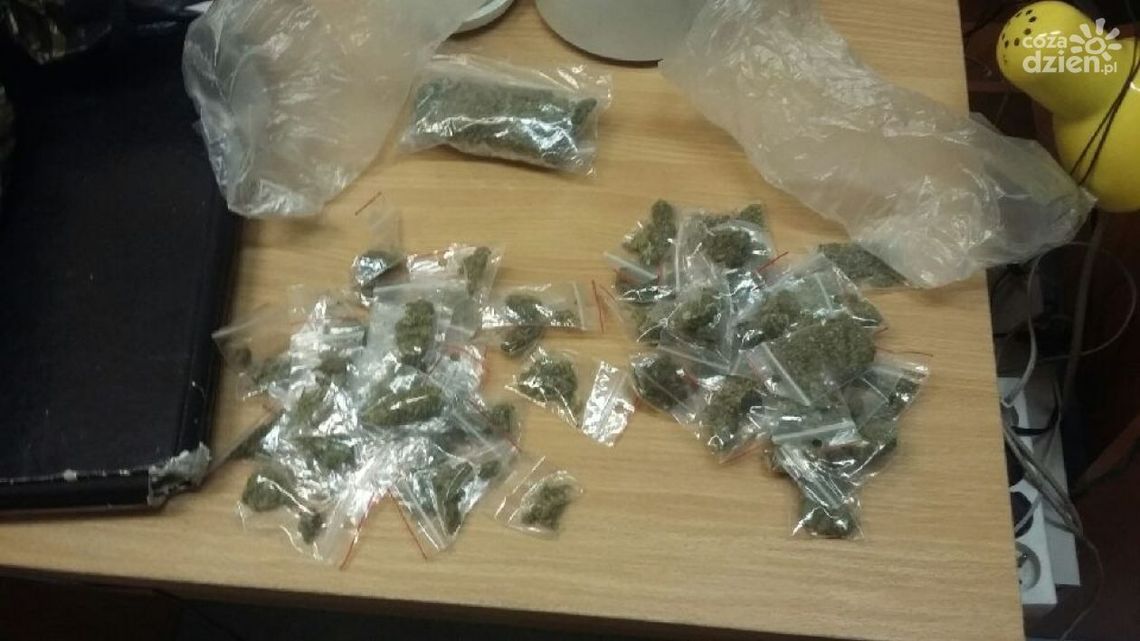 20-latek z Pionek odpowie za posiadanie narkotyków
