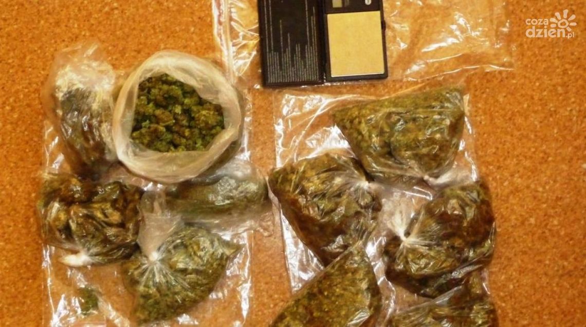 24-latek zatrzymany za posiadanie narkotyków