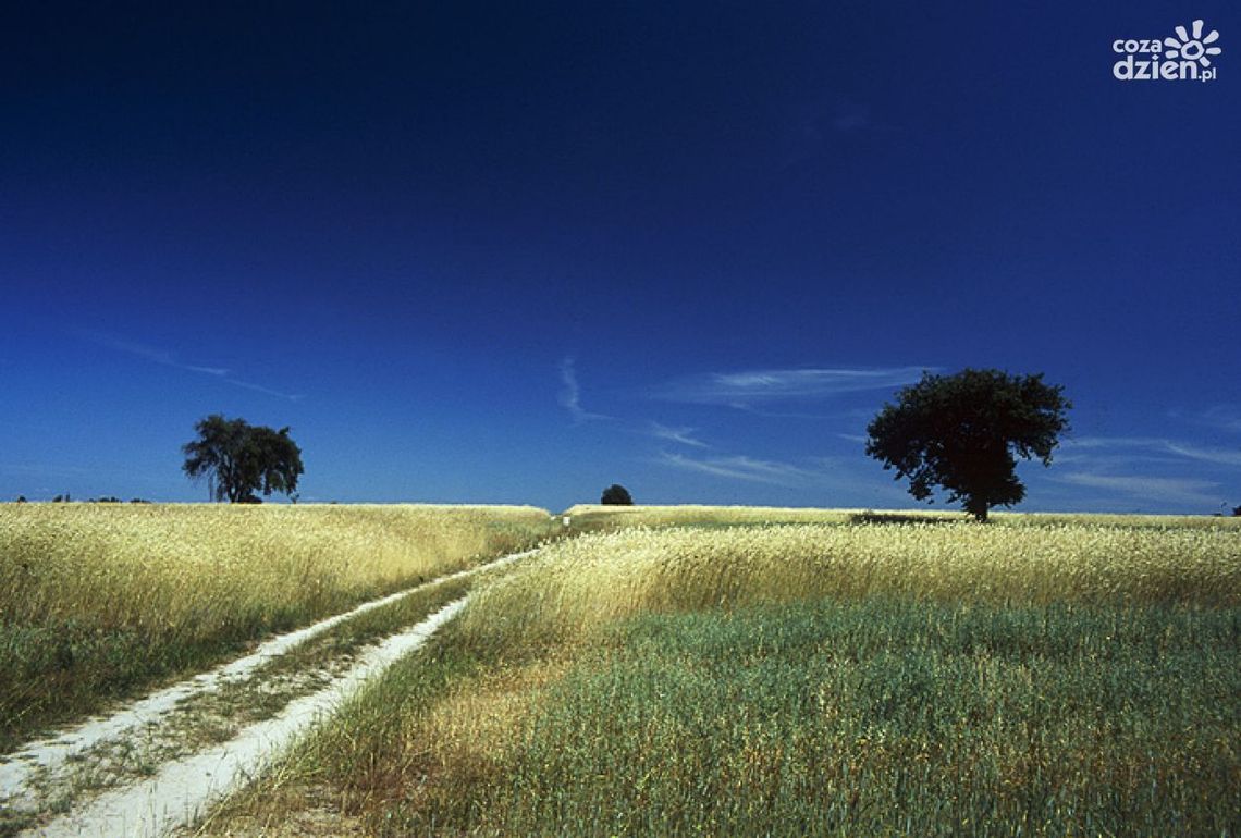 250 milionów z samorządu Mazowsza