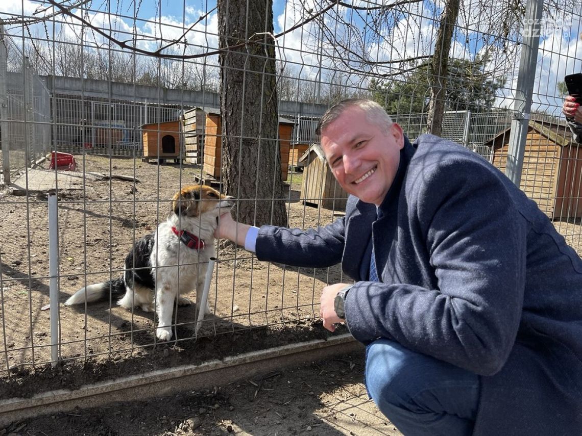 3 mln zł na sterylizację, chipowanie i wsparcie schronisk