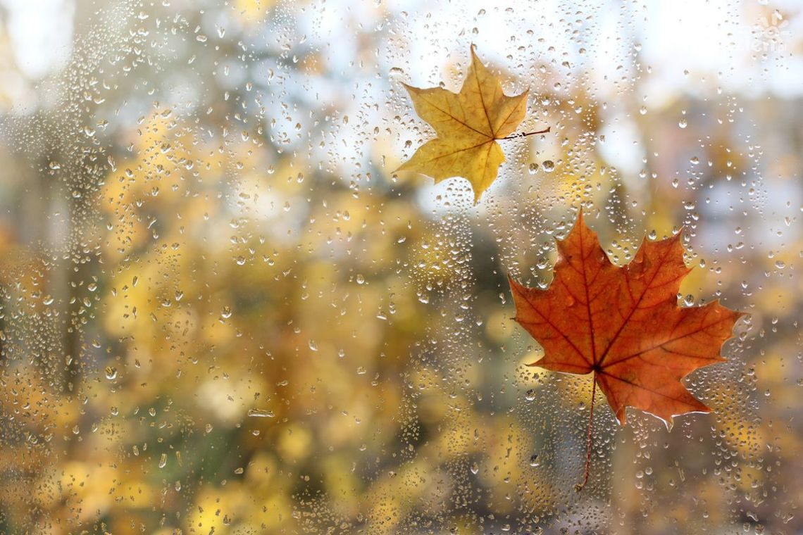 3 pomysły na jesienną niepogodę