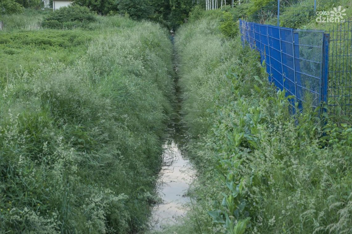 320 tys. zł na poprawę melioracji w regionie radomskim