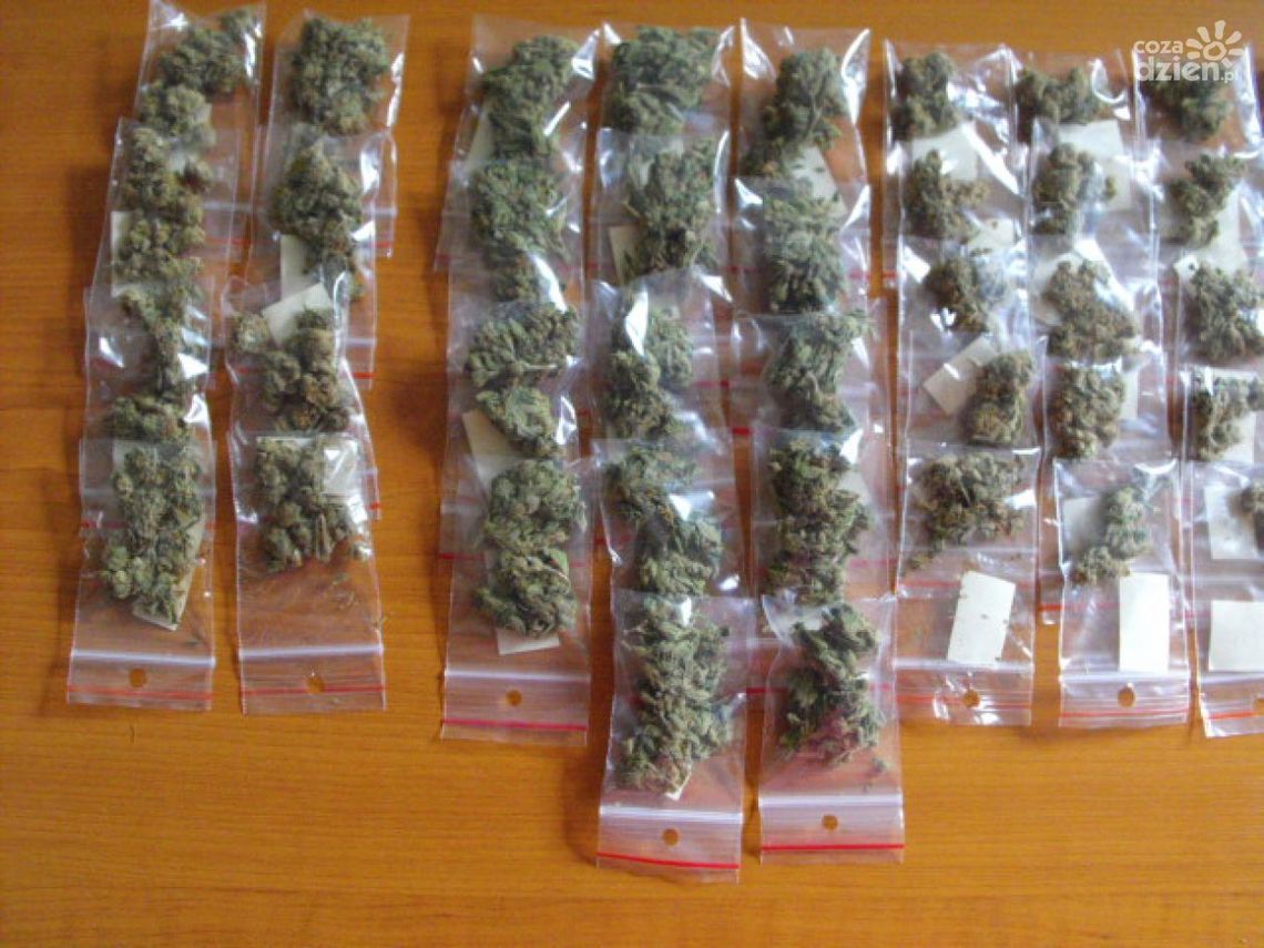 350 porcji marhiuany skonfinskowano w Radomiu 350 porcji marhiuany skonfinskowano w Radomiu