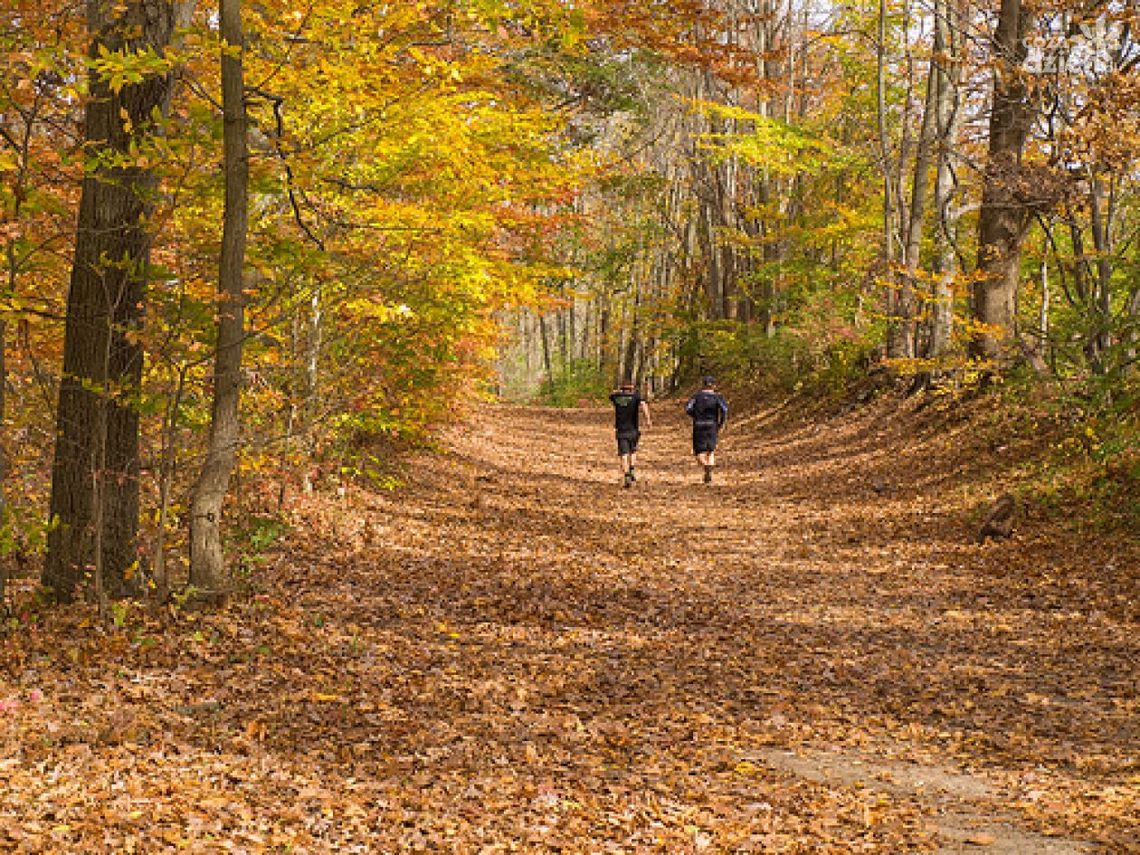 5 powodów dla których warto biegać, gdy jest zimno