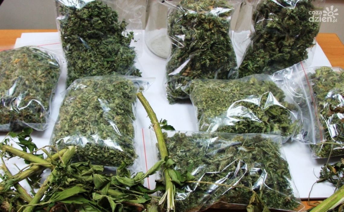 61-latek ze słoikami marihuany 61-latek ze słoikami marihuany