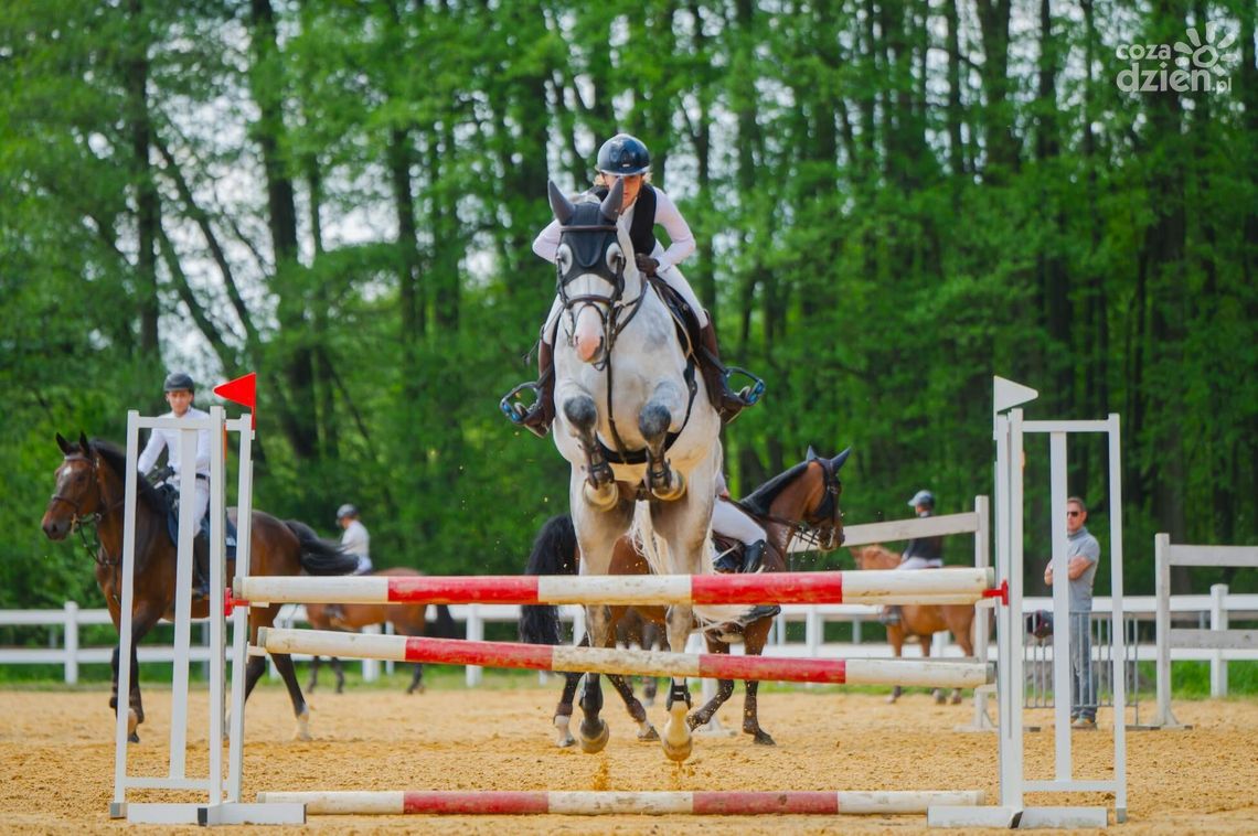 Adrenalina w siodle, elegancja na parkurze. Trwa lipcowa edycja Ogólnopolskich Zawodów w skokach przez przeszkody Kozłów 2026 Adrenalina w siodle, elegancja na parkurze. Trwa lipcowa edycja Ogólnopolskich Zawodów w skokach przez przeszkody Kozłów 2026