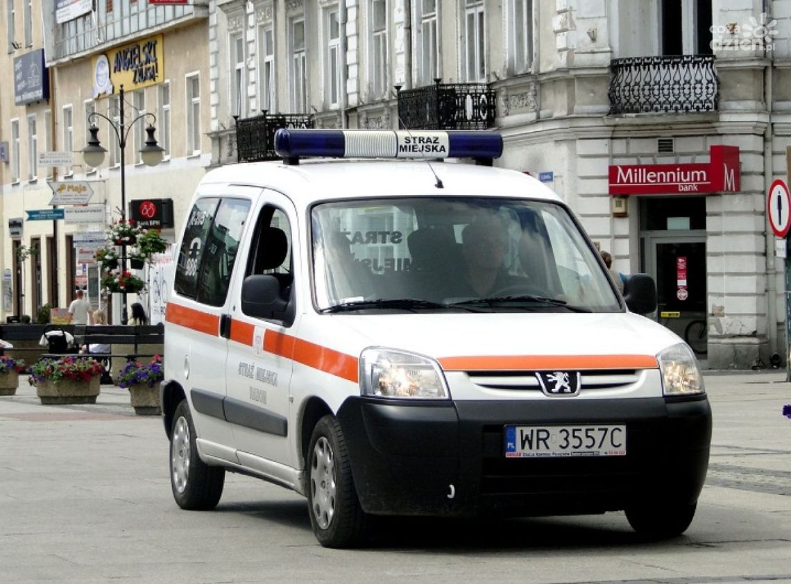 Agresywni chuligani zatrzymani!