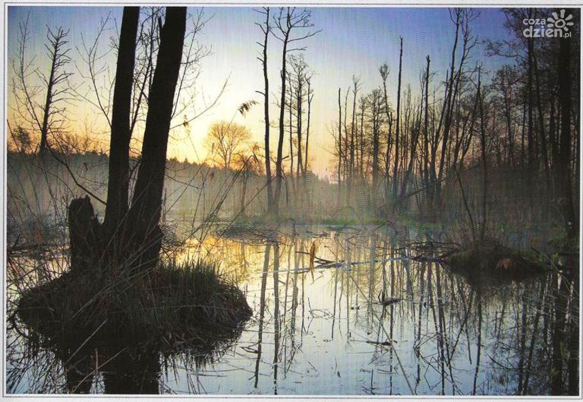 Album pełen piękna