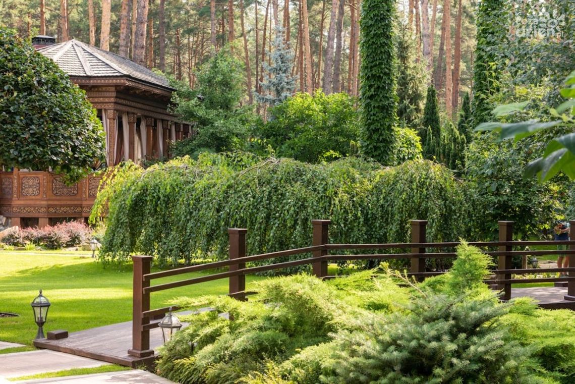 Aranżacje roślin przy ogrodzeniu i sekrety urządzenia altany