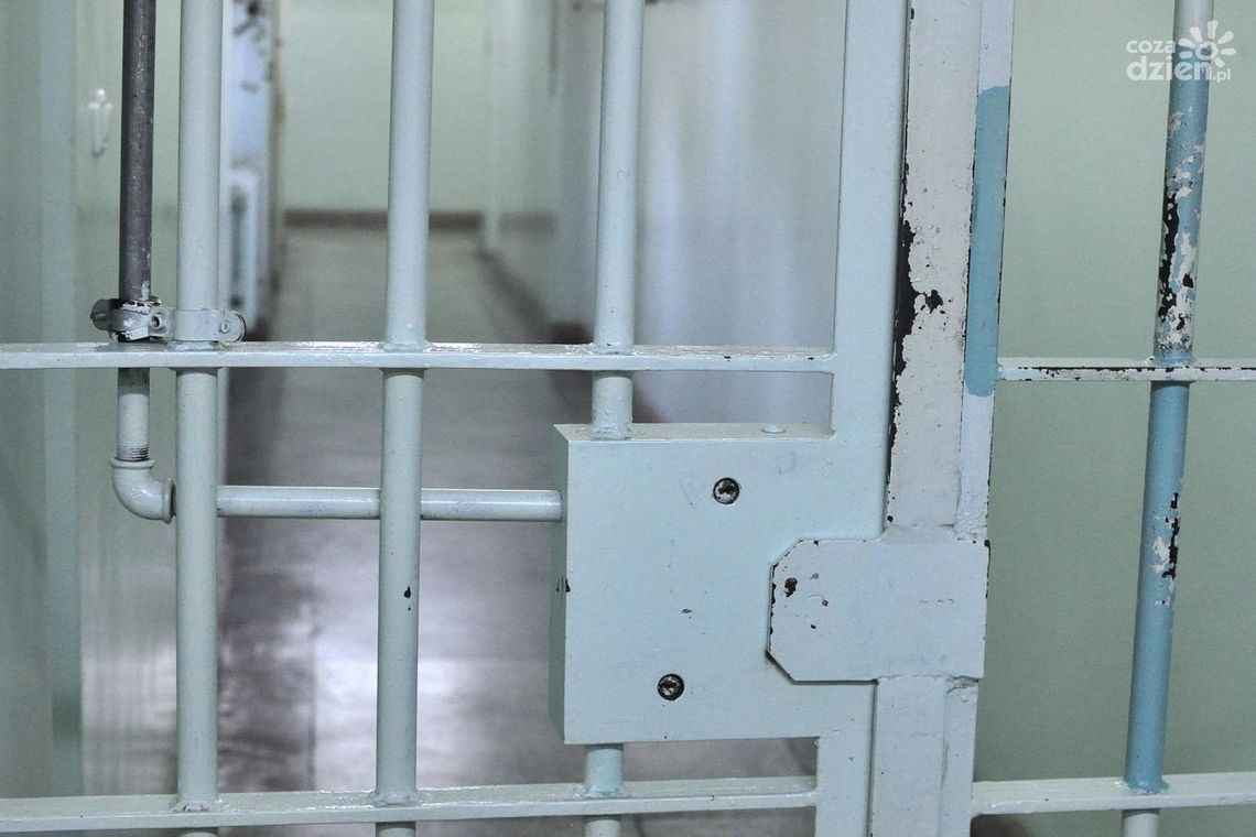 Areszt za znęcanie się nad niepełnosprawną matką i napaść na policjantów Areszt za znęcanie się nad niepełnosprawną matką i napaść na policjantów