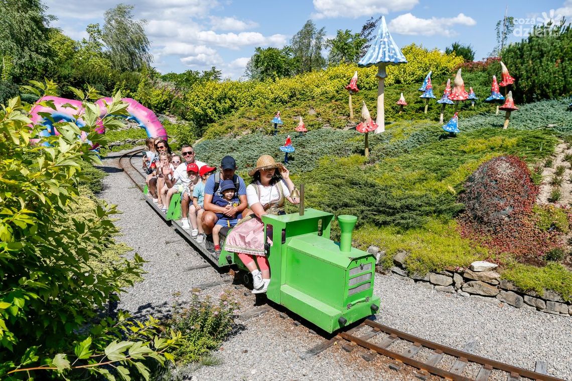 Atrakcyjne Magiczne Ogrody