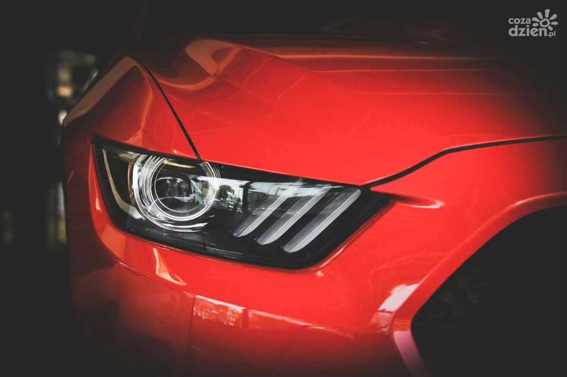 Auto detailing – nie tylko dla najbogatszych. Zobacz, ile korzyści dają profesjonalne zabiegi!
