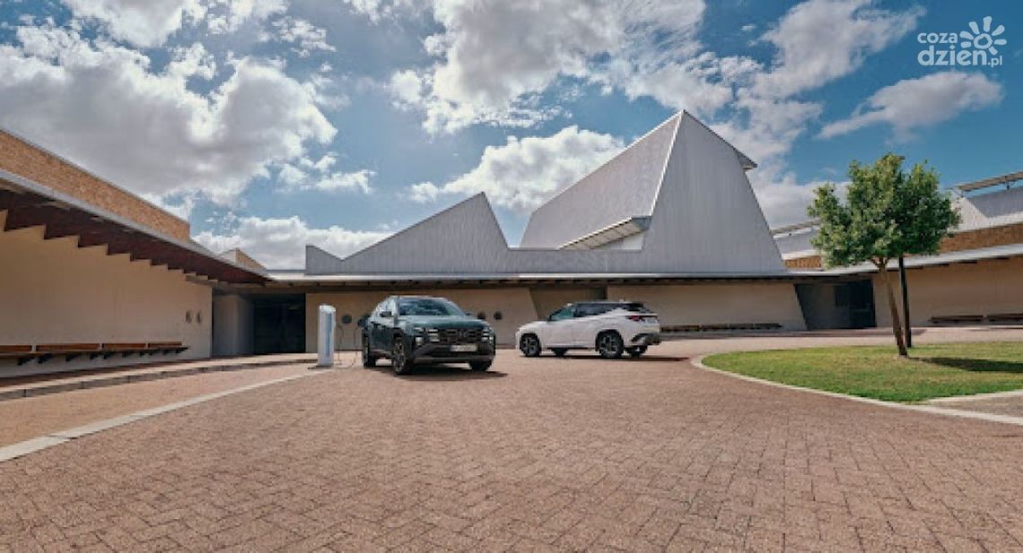 Auto hybrydowe – idealny kompromis między benzyną a elektrykiem? Auto hybrydowe – idealny kompromis między benzyną a elektrykiem?