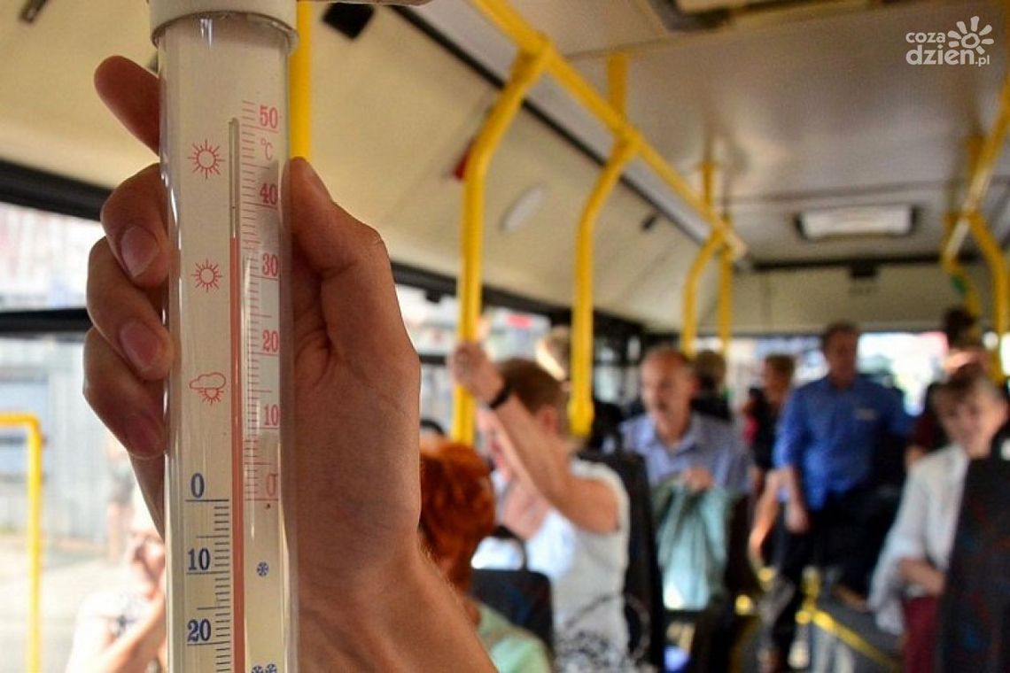 Autobusy czy piekarniki?