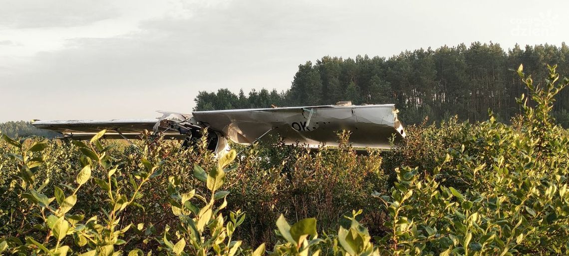 Awionetka spadła na pole borówek. Sprawą zajmuje się prokuratura