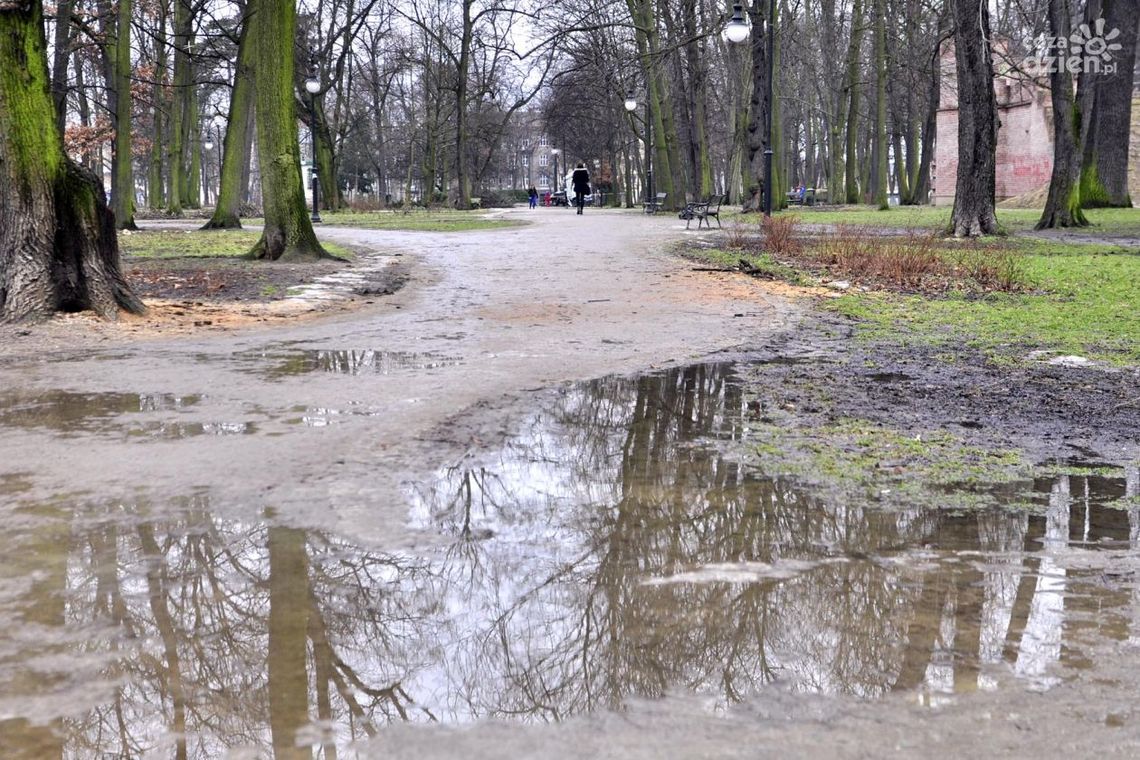 Bajoro w Parku Kościuszki. Co z tym zrobić?