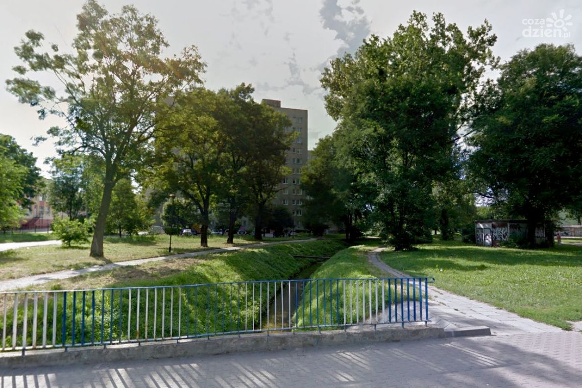 Będą nowe pomniki przyrody