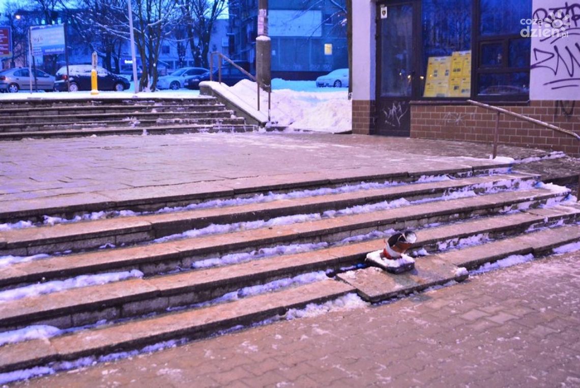 Będzie kolejny remont schodów