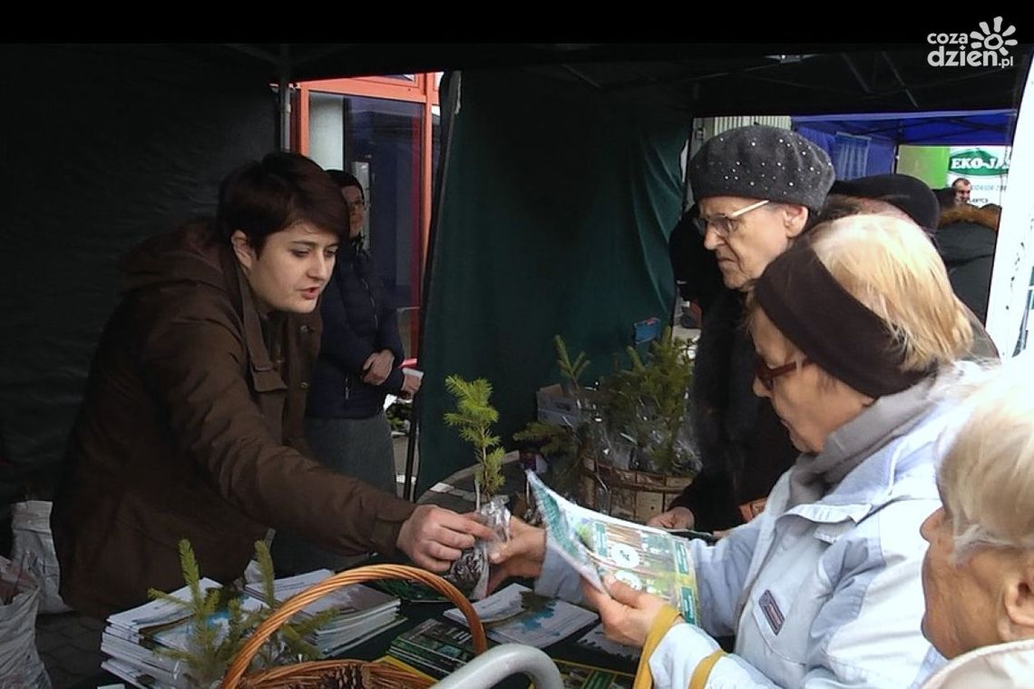 Bezpłatne sadzonki drzew