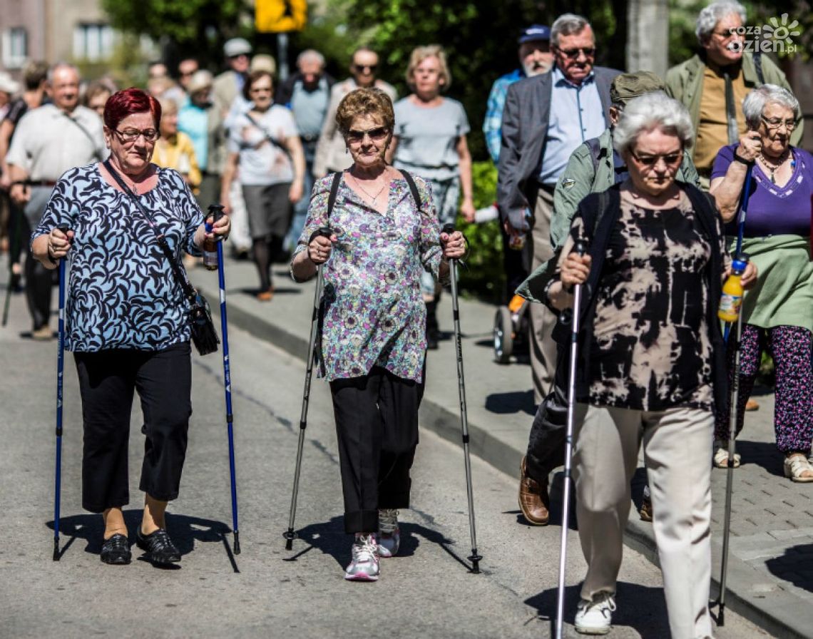 Bezpłatne zajęcia nordic walking