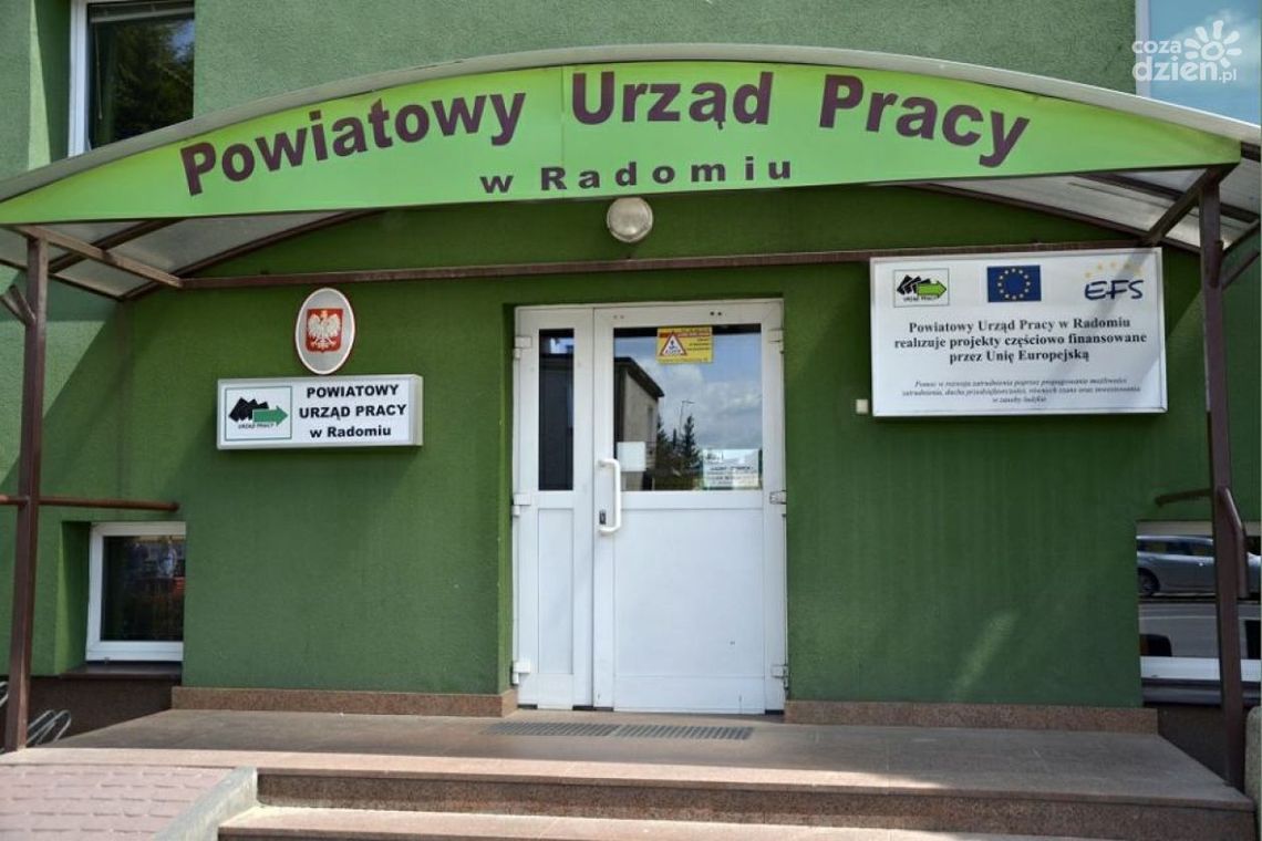 Bezrobocie wzrosło?