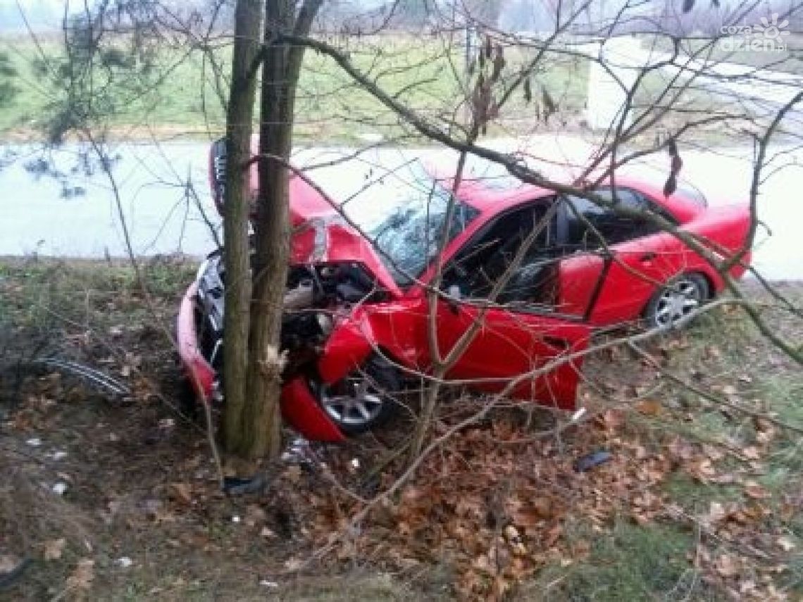 BIAŁOBRZEGI. Pijany kierowca uderzył w drzewo