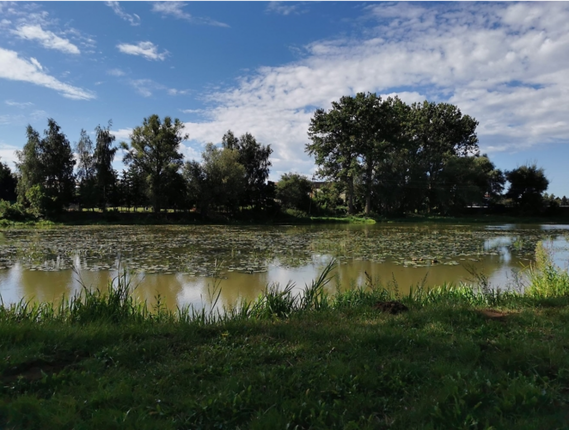 Białobrzeskie jeziora zostaną zrewitalizowane