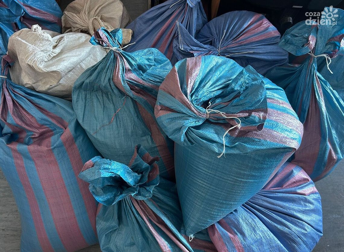 Blisko 130 kilogramów nielegalnego tytoniu zabezpieczone przez radomskich policjantów Blisko 130 kilogramów nielegalnego tytoniu zabezpieczone przez radomskich policjantów