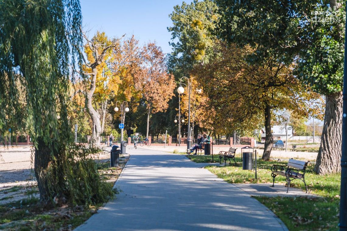 Borki. Aleja Władysława Wagnera