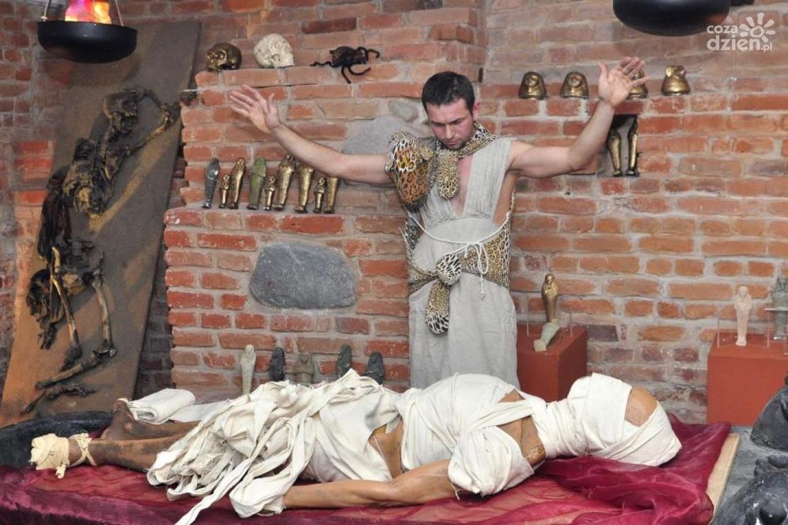 Bóstwa, mumie i papirusy w muzeum