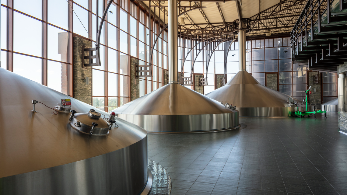 Browar Warka świętuje 50-lecie. Pół wieku tradycji, innowacji i wsparcia dla lokalnej społeczności