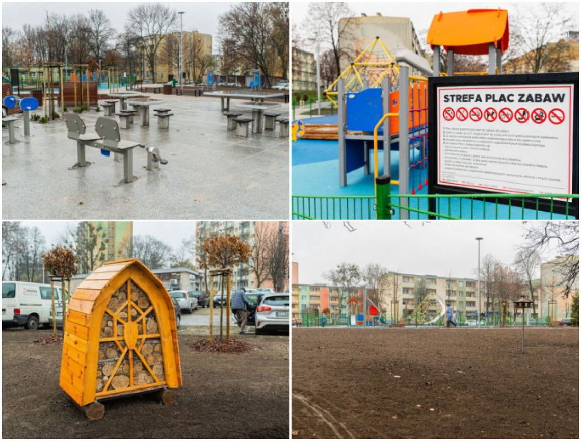 Budka dla owadów, łąka kwietna i plac zabaw. Bema-Jasińskiego-Sowińskiego się zmienia Budka dla owadów, łąka kwietna i plac zabaw. Bema-Jasińskiego-Sowińskiego się zmienia