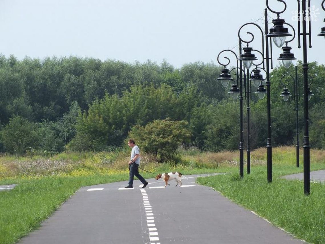 Bulwary nad Mleczną. Wykonawca ukarany Bulwary nad Mleczną. Wykonawca ukarany