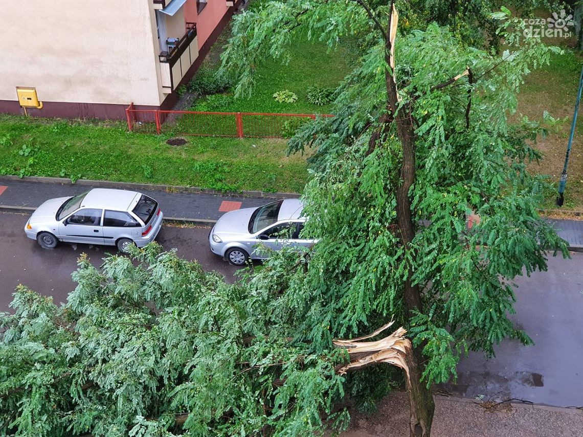 Burza nad Radomiem. Strażacy i służby usuwają skutki