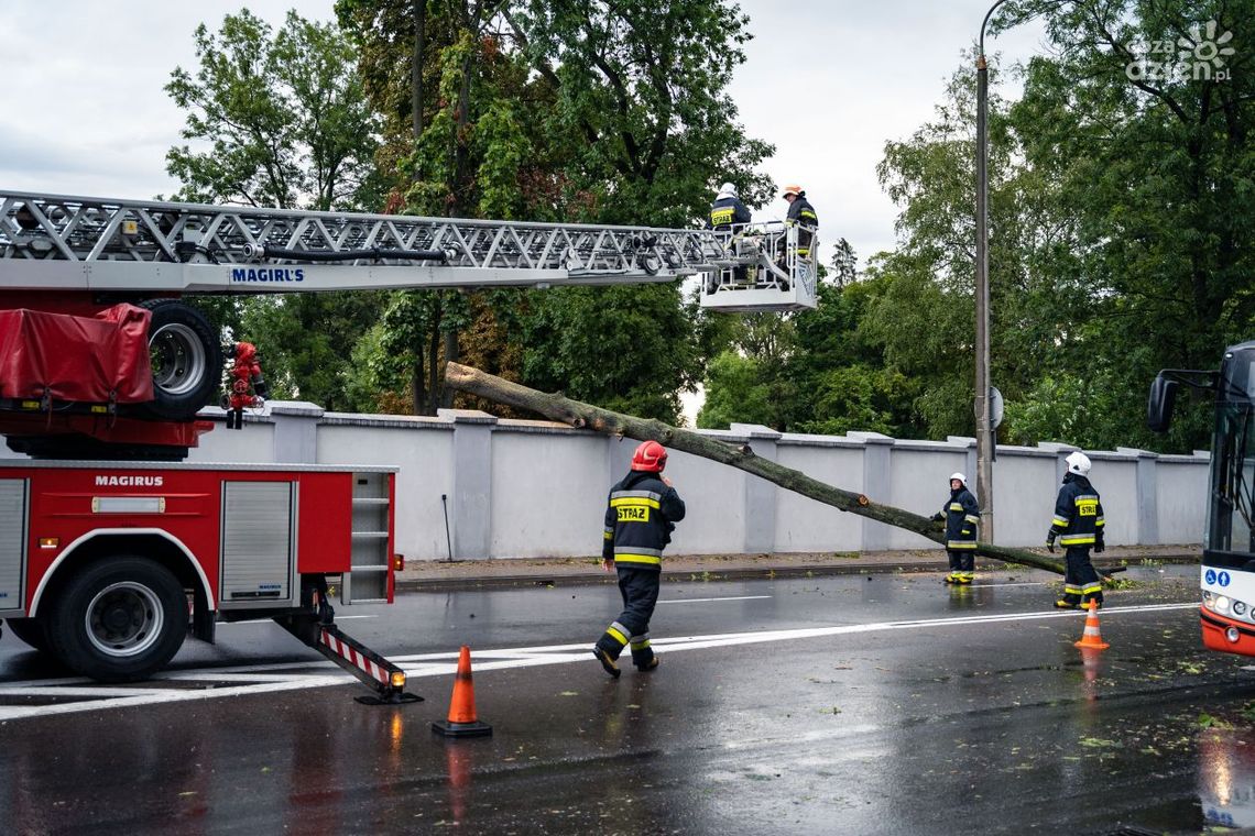 Burza. Ponad 120 interwencji. Zgłoszenia cały czas napływają Burza. Ponad 120 interwencji. Zgłoszenia cały czas napływają