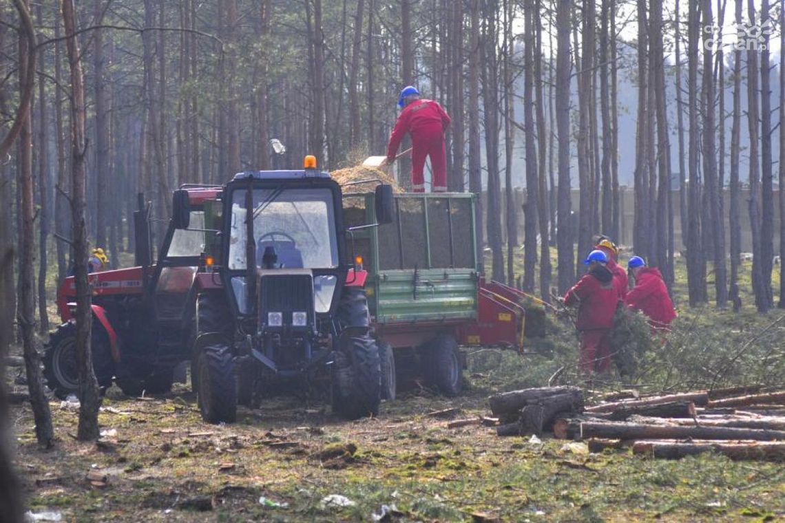 Były dyektor ZUK zapłaci za kwietniki?