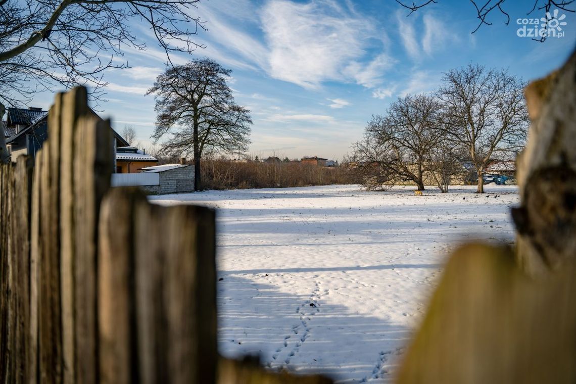 Były sady, będą bloki?