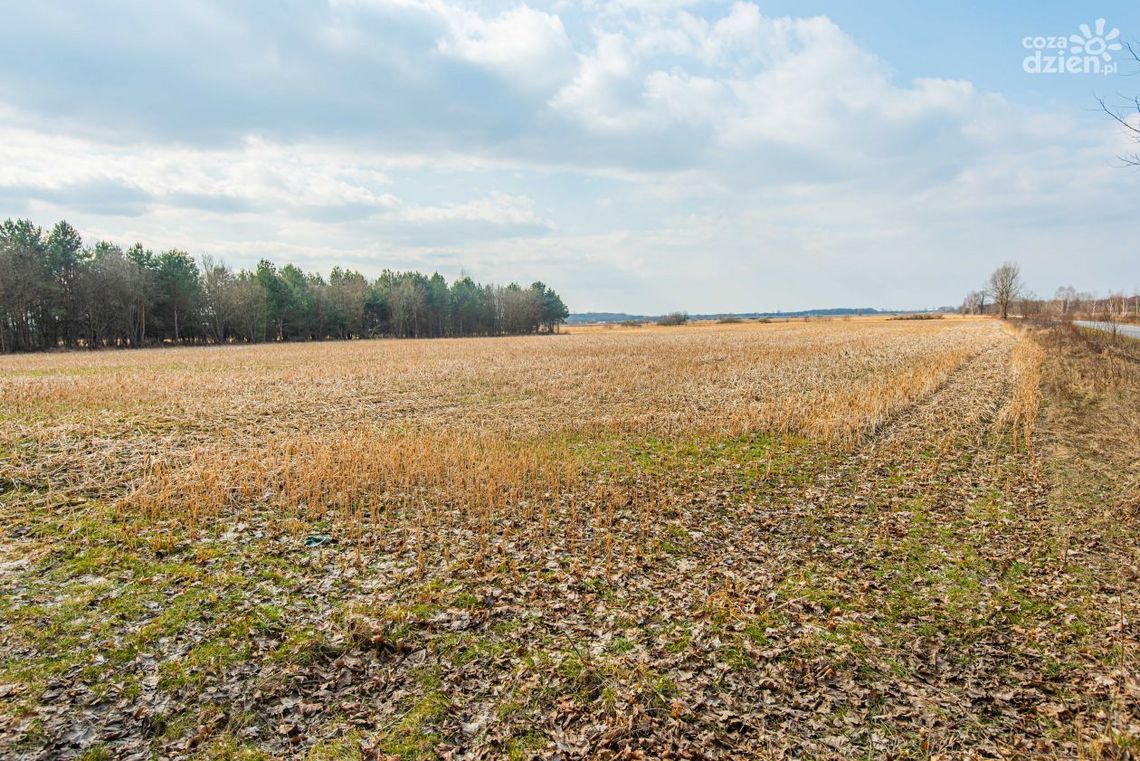Centrum Rzeźby Polskiej przeciwko budowie biogazowni