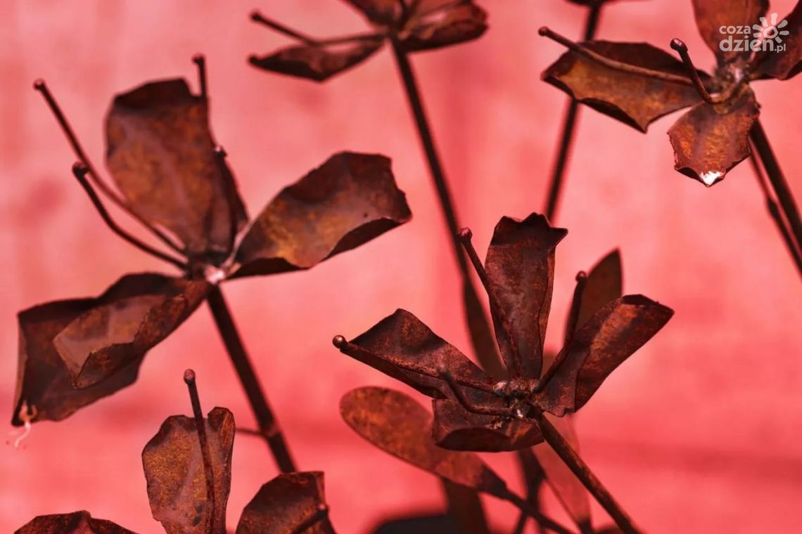 Ceramika, rzeźba i instalacja. Nowe ekspozycje w Orońsku