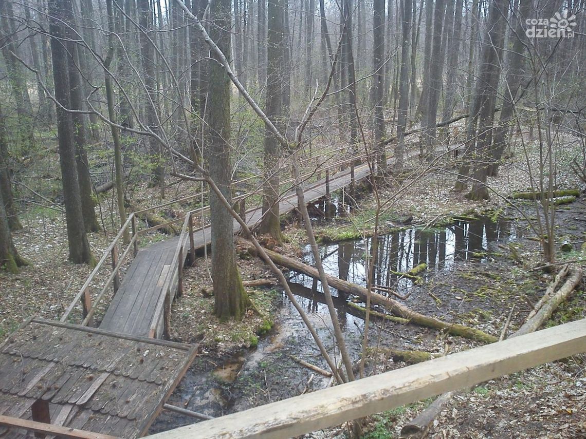 Chcesz pojechać do Źródeł Królewskich? Bądź ostrożny