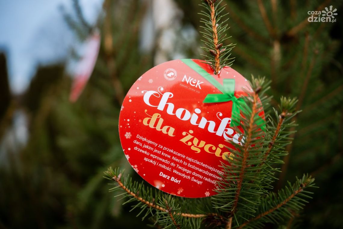 Choinka dla Życia