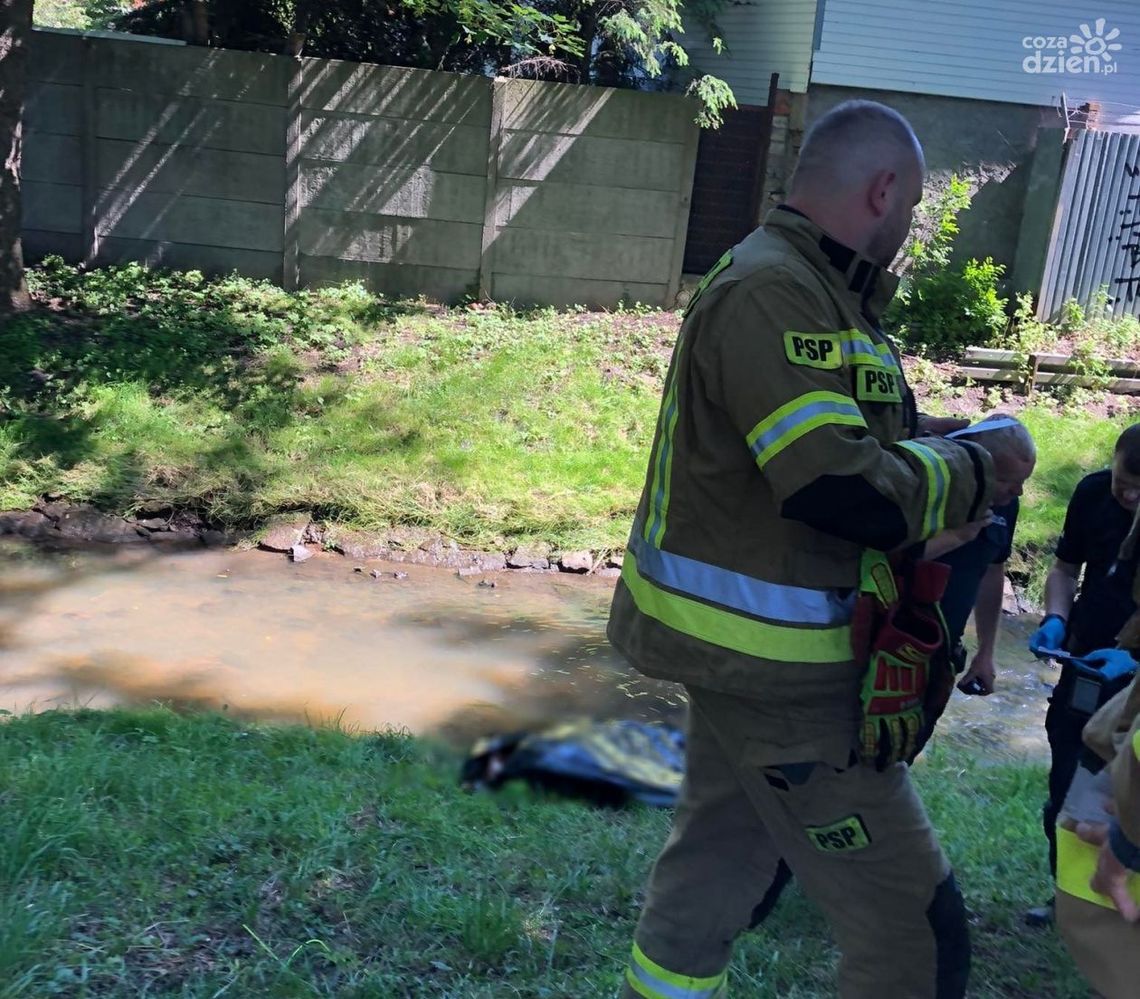 Ciało mężczyzny w rzece przy Odrzańskiej [aktualizacja]