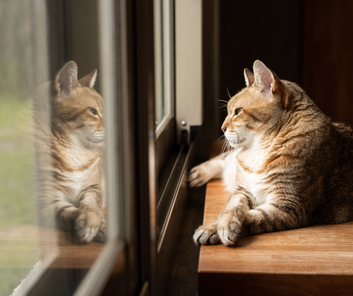 Ciepłe okna i szczelny  montaż? Co to w ogóle znaczy!