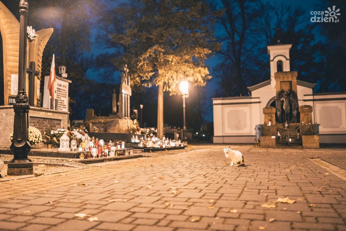 Cmentarz dłużej otwarty 