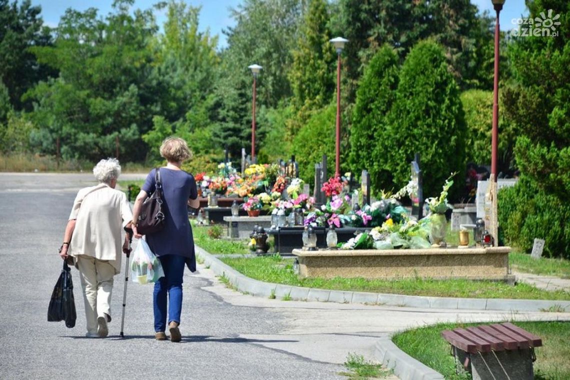 Cmentarz na Firleju zostanie powiększony Cmentarz na Firleju zostanie powiększony