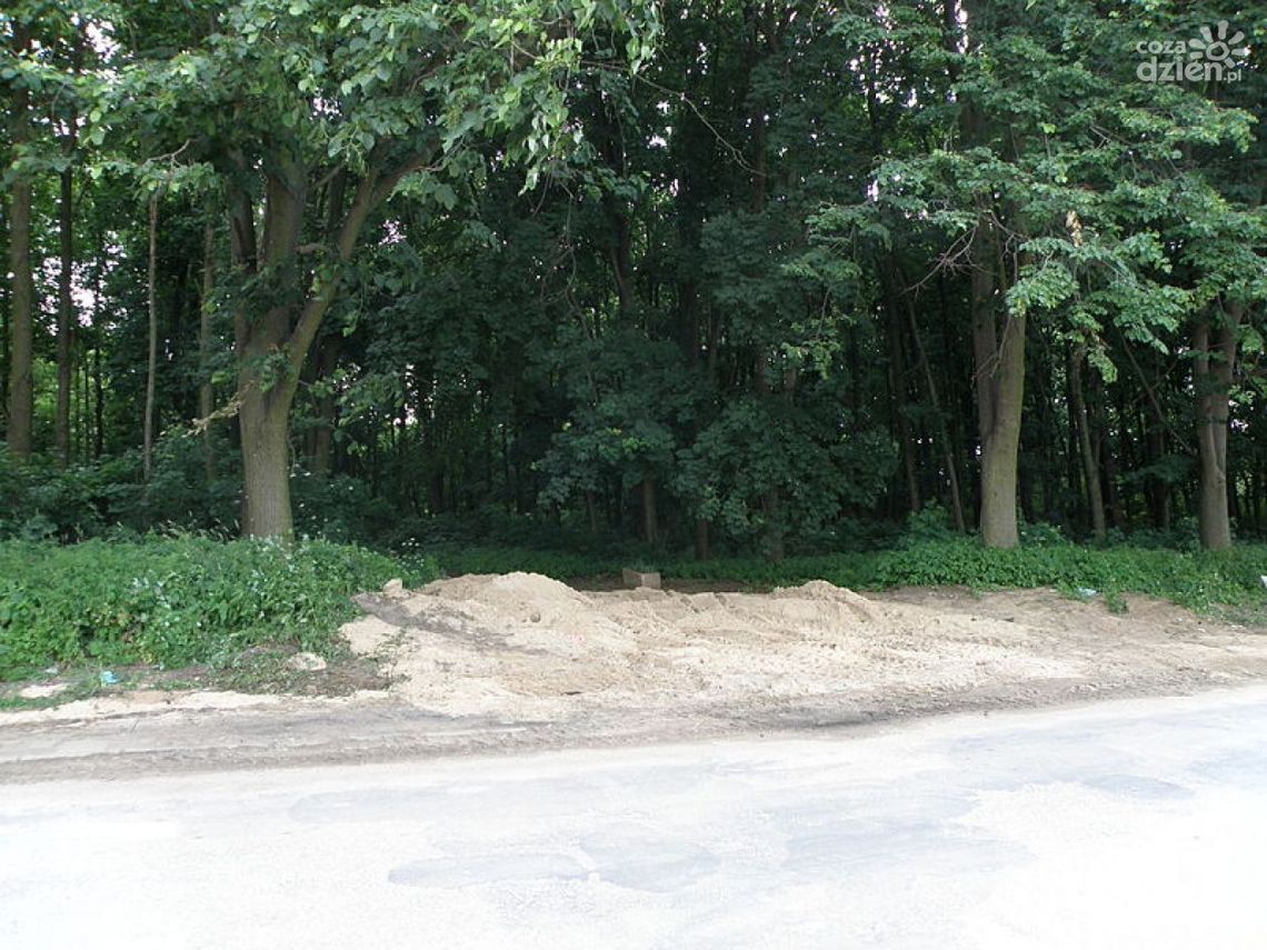 Cmentarz żydowski tonie w śmieciach Cmentarz żydowski tonie w śmieciach